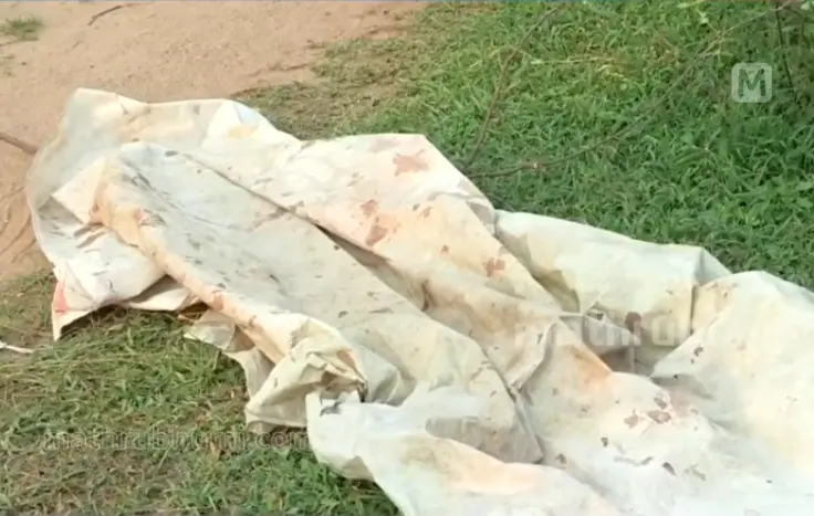 Seven arrested in Palakkad after a 40-year-old man was allegedly beaten to death with stones and wooden logs for sleeping in a house courtyard
