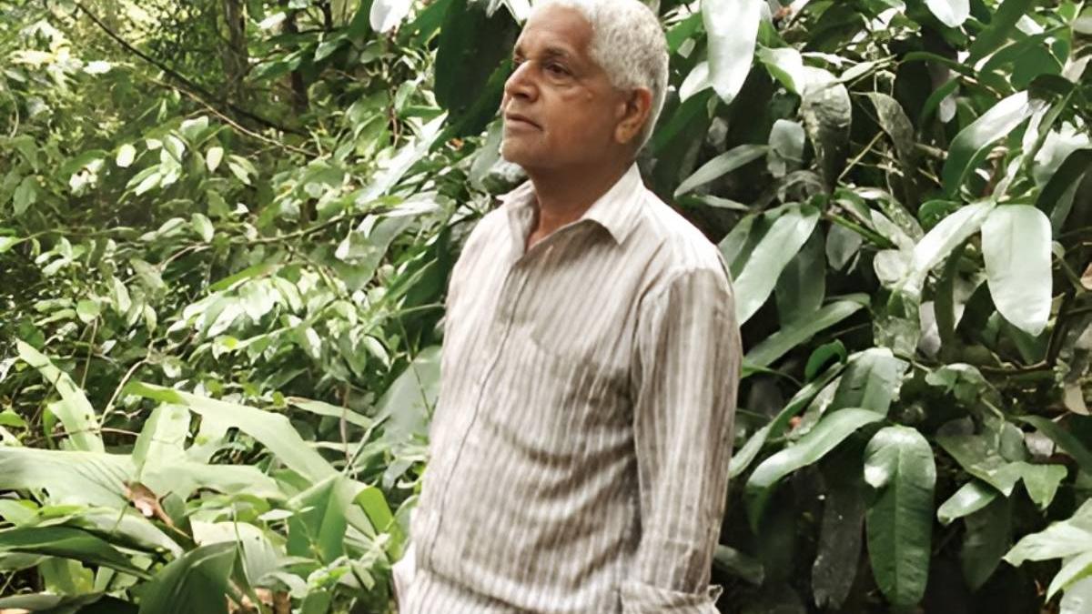നേപ്പാളിൽനിന്നുള്ള അപൂർവ ഫലവൃക്ഷങ്ങൾ! 65 സെന്റിൽ ഒരുക്കിയ സ്വപ്നഭൂമി, നെടുങ്കണ്ടത്തെ 'പ്രാകൃതം' കാട്