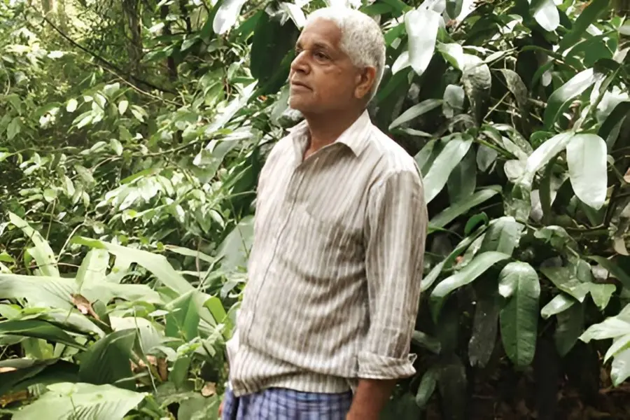 നേപ്പാളിൽനിന്നുള്ള അപൂർവ ഫലവൃക്ഷങ്ങൾ! 65 സെന്റിൽ ഒരുക്കിയ സ്വപ്നഭൂമി, നെടുങ്കണ്ടത്തെ 'പ്രാകൃതം' കാട്