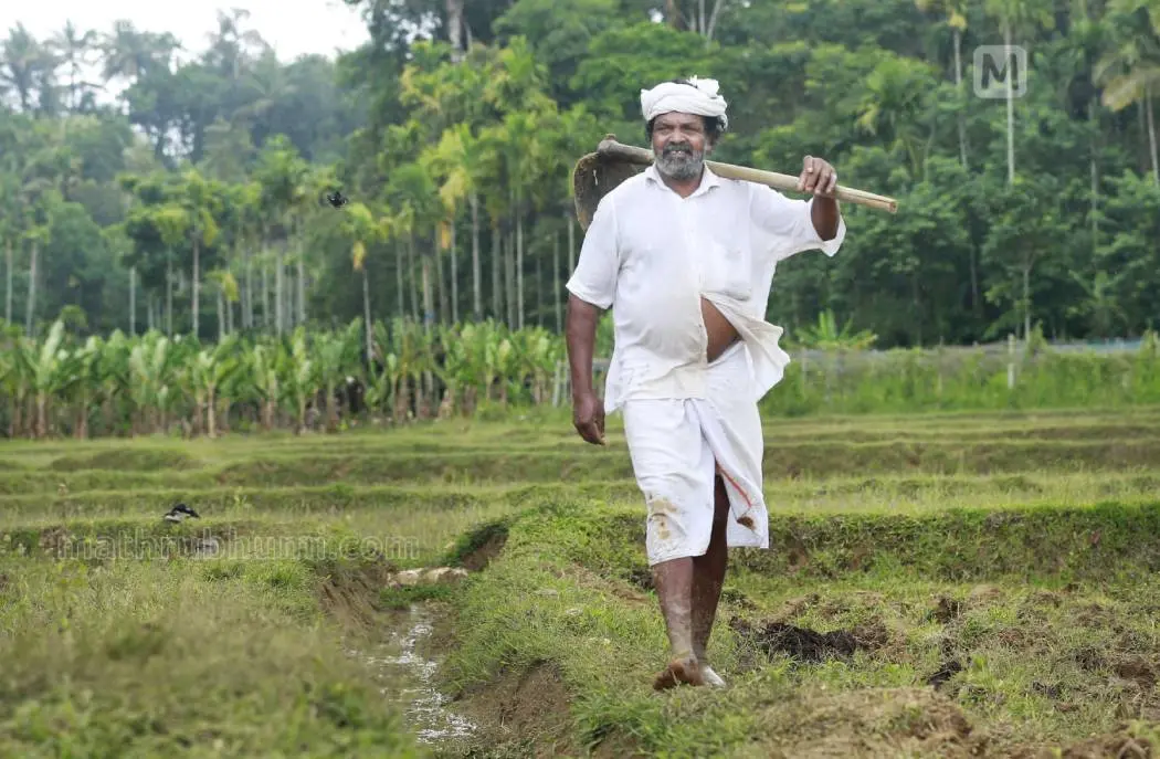 ചെറുവയല് രാമന് |ഫോട്ടോ:പി.ജയേഷ്|മാതൃഭൂമി