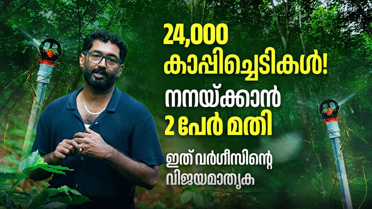തൊഴിലാളികൾ പകുതിയായി, വെള്ളവും ലാഭിച്ചു! സ്പ്രിങ്ക്ലർ ഇറിഗേഷനിലൂടെ യുവകർഷകന്റെ കാർഷിക വിപ്ലവം