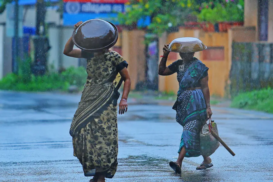 Rain
