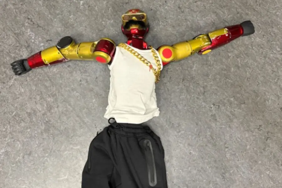 humanoid-robot