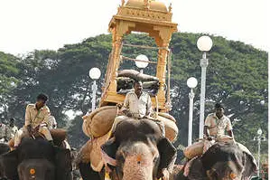 മൈസൂരു ദസറ: ജംബൂ സവാരിയിൽ ദേവിയെ എഴുന്നള്ളിക്കാൻ കൊമ്പൻ പ്രശാന്ത