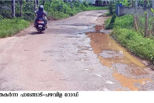 പാങ്ങോട്-പഴവിള റോഡ് തകർന്നു; യാത്രക്കാർ ദുരിതത്തിൽ