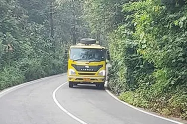 എസ്റ്റേറ്റ് മുക്ക്-തലയാട് റോഡിലേക്ക് തിങ്ങിനിറഞ്ഞ് കാട്; തെച്ചിവളവിൽ സുരക്ഷാസിഗ്നൽ കമ്പികളിൽ ഒതുങ്ങി