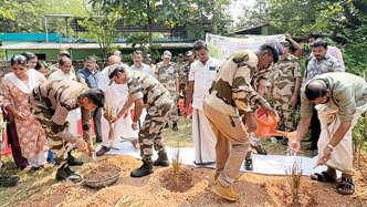 രാമച്ച പുൽത്തകിടി നിർമാണം തുടങ്ങി