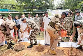 രാമച്ച പുൽത്തകിടി നിർമാണം തുടങ്ങി