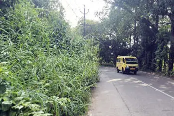 വളവും തിരിവും കാടും; ഭീതിയേറും അഞ്ചരക്കണ്ടി-ചാലോട് റോഡ് യാത്ര