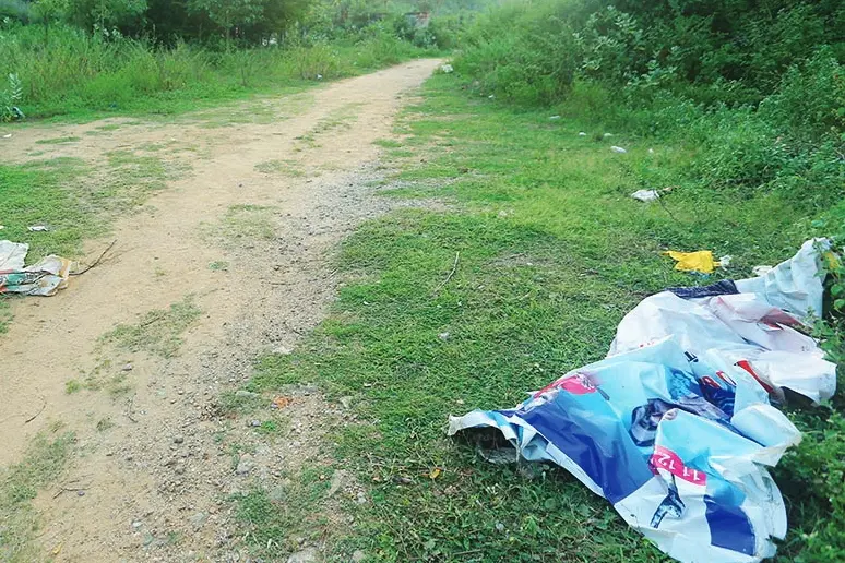 മൃതദേഹം കണ്ടത് കാടുമൂടി, ഒറ്റപ്പെട്ട സ്ഥലത്ത്: ദൃക്സാക്ഷികളില്ലാത്ത കേസിൽ തുമ്പായത് മൊഴികൾ