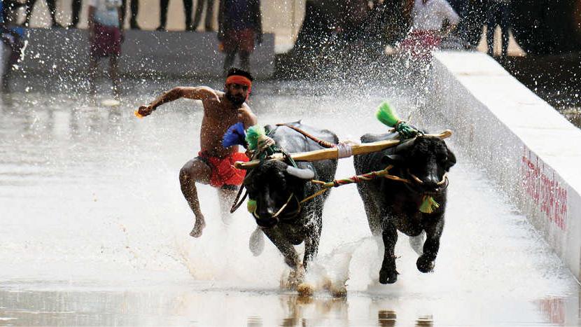 ആവേശമായി പരീക്ഷണയോട്ടം