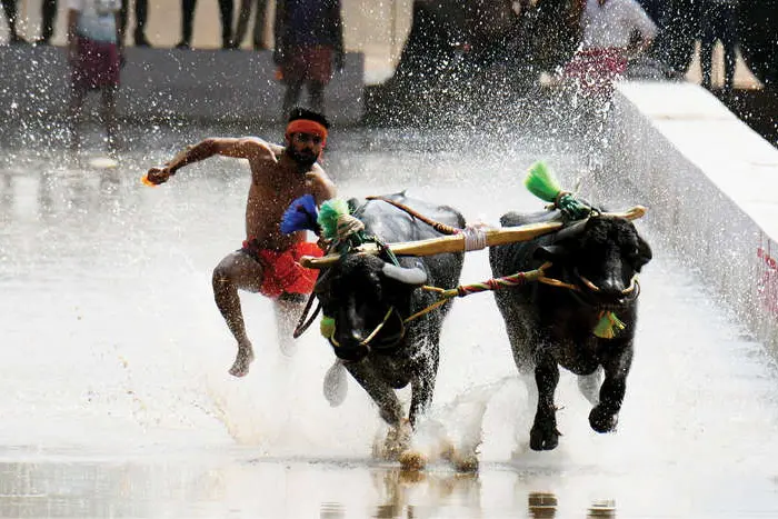 ആവേശമായി പരീക്ഷണയോട്ടം