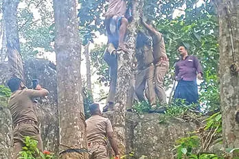 കാട്ടുപന്നിയുടെ ആക്രമണം: രക്ഷപ്പെടാൻ ശ്രമിച്ചയാൾ റബ്ബർമരത്തിനു മുകളിൽ കുടുങ്ങി