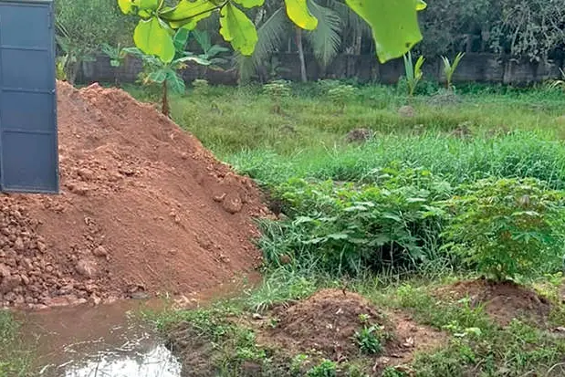ചാത്തന്നൂരിൽ ഏലാകളും വയലുകളും വ്യാപകമായി നികത്തുന്നു