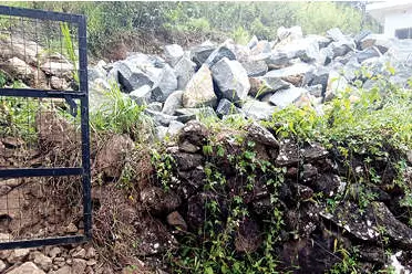 സംരക്ഷിത വനമേഖലയ്ക്ക് സമീപം അനധികൃത പാറഘനനം