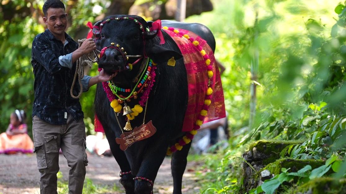 ആനയുടെ തലയെടുപ്പോടെ 1200 കിലോയുടെ കരുത്തൻ; കൊല്ലത്തെ ആഘോഷപ്പറമ്പുകളിൽ താരമായി 'ഭീമൻ'
