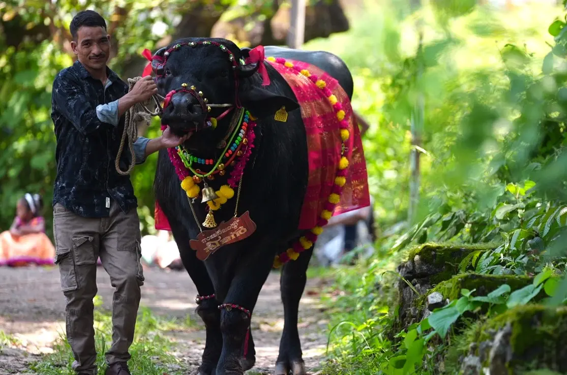 ഭീമൻ
