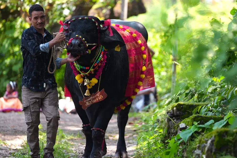 'ഭീമൻ