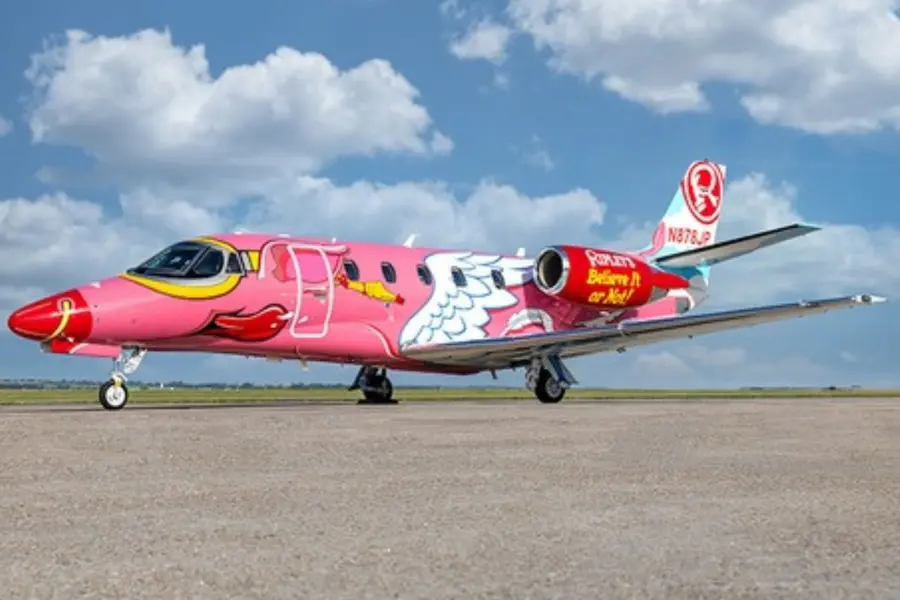 When Pigs Fly! Meet the Pink Pig that is turning heads in the sky