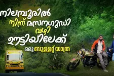 കാടിനുള്ളിലൂടെ ഒരു റോഡ് ട്രിപ്പ്! നിലമ്പൂരിൽനിന്ന് മസിനഗുഡി വഴി ഊട്ടിയിലേക്ക് ഒരു ബുള്ളറ്റ് യാത്ര