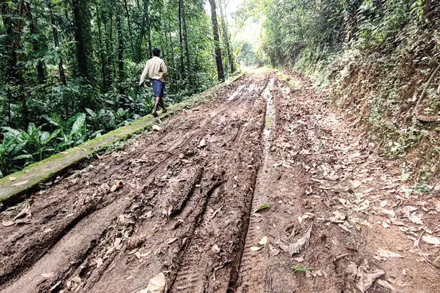 റോഡുണ്ട്; വാഹനമിറങ്ങില്ല... വഴിയടഞ്ഞ് 80 കുടുംബങ്ങൾ