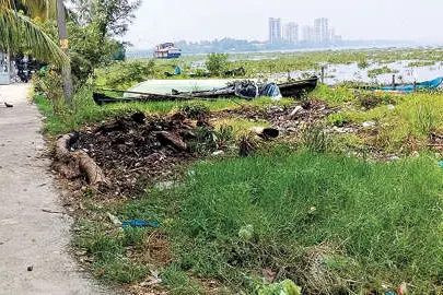 കൽക്കെട്ടില്ലാത്ത കായലോരം കാടുമൂടി