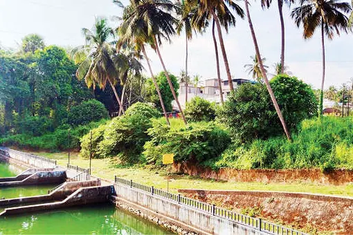 ഒറ്റപ്പാലം അഗ്നിരക്ഷാസേന യൂണിറ്റ് താമരക്കുളത്തിന് സമീപം തന്നെ
