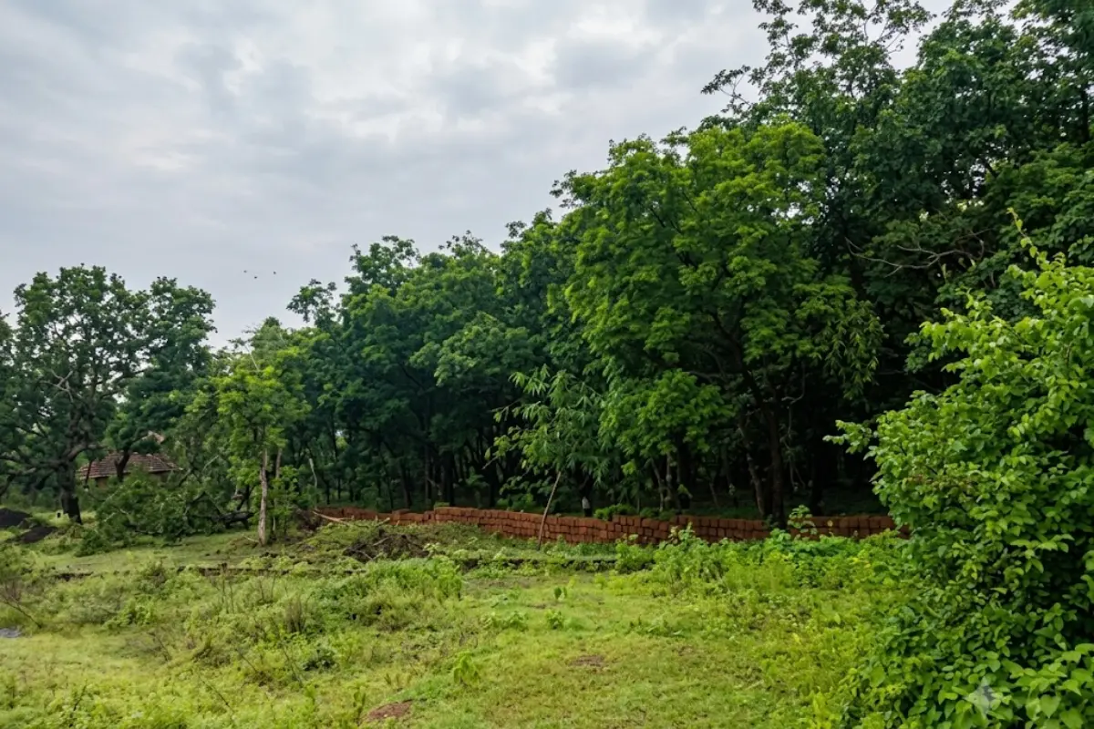 പ്രതീകാത്മക ചിത്രം