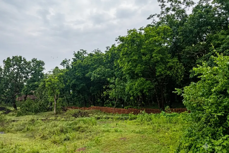 കിഫ്ബി; അഞ്ചിരട്ടി വിലയ്ക്ക് ഭൂമി വാങ്ങിക്കൂട്ടി, 12,727 കോടി ചെലവ്, പദ്ധതികളില്ല, കൂടുതലും കണ്ണൂരിൽ; വിജിലൻസ് അന്വേഷണം വരും
