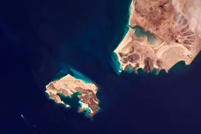 The Saudi strait-jacket that has bound the world