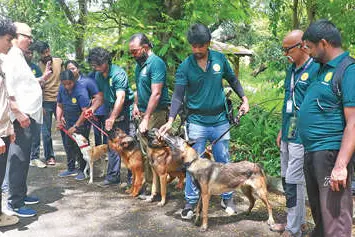 ഇവർ വരുതിയിലാക്കും; നാടനേയും വിദേശിയേയും