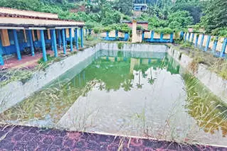 കാടുപിടിച്ച് പീച്ചിയിലെ നീന്തൽക്കുളം
