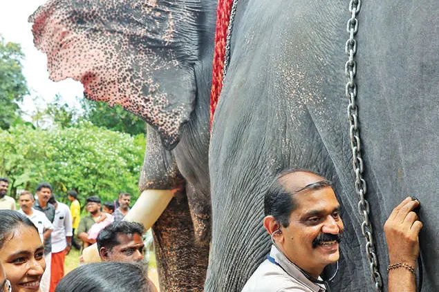 അവർക്കും വേണം കരുതൽ... ഗജരാജന്മാർക്ക്‌ ഹൃദയപൂർവം