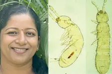 മണ്ണിന്റെ നിശബ്ദ കാവൽക്കാർ; സ്‌പ്രിങ്‌ടെയിലുകളിൽ രണ്ട് പുതിയ സ്പീഷിസുകളെ കണ്ടെത്തി മലയാളി ഗവേഷക