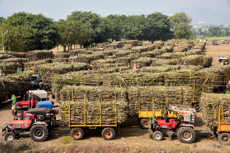 Ethanol policy shift: India bars sugar-based feedstocks, reduces maize procurement price