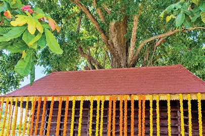 ഉത്രാളിക്കാവിലെ ബിംബം മുഖമണ്ഡപത്തിലേക്ക് മാറ്റും