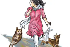ചെന്നീർക്കരയെ വിറപ്പിച്ച്തെരുവുനായ്ക്കൾ