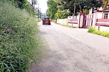 ഹരിപ്പാട്-ഇലഞ്ഞിമേൽ റോഡ് ഇരുവശവും കാടും വള്ളിപ്പടർപ്പും യാത്ര ദുഷ്കരം