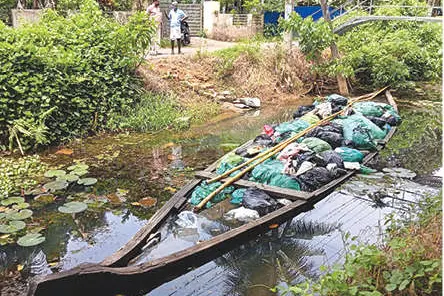 ആശുപത്രിമാലിന്യം പാടശേഖരത്തിൽ തള്ളാൻ ശ്രമം
