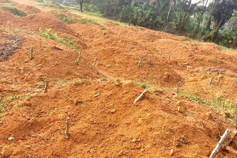 ചെറുവാടി സ്റ്റേഡിയം നവീകരണമെവിടെ