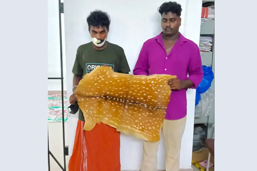 സ്കൂട്ടർ അപകടത്തിൽപെട്ടു, സീറ്റിനടിയിൽ നിന്ന് പുറത്തേക്ക് തെറിച്ചത് പുള്ളിമാൻ തോൽ; രണ്ടുപേർ അറസ്റ്റിൽ