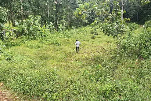 നെടുമൺ മൃഗാശുപത്രിക്ക് സ്വന്തം കെട്ടിടം വരുന്നു