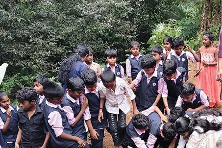 ബൈസൺവാലിയിൽ ‘കതിർക്ലബ്’