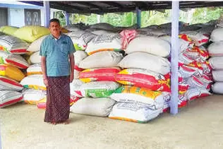 ചിറ്റൂരിൽ കൊയ്ത്ത് തുടങ്ങി; പക്ഷേ, മില്ലുകളെ നിശ്ചയിച്ചിട്ടില്ല