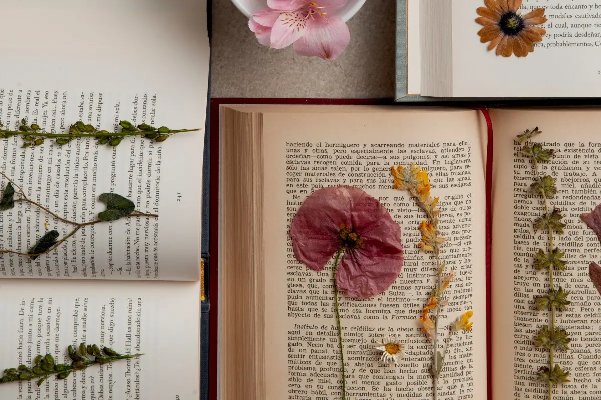 Representational image | Canva
