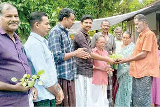 പച്ചക്കറിത്തൈകൾ വിതരണംചെയ്തു