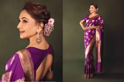 Madhuri Dixit’s purple Banarasi saree draws inspiration from Mughal, Rajputana architecture | PICTURES