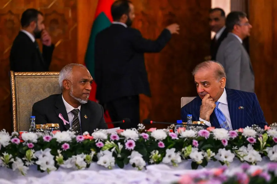Pakistan's 100,000 olive cuttings for Maldives face pushback: 'Wrong tree for a tropical island'