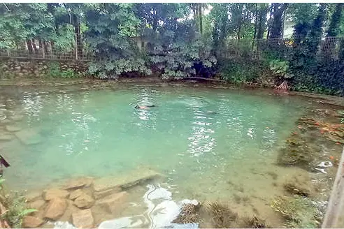 ചിറത്താഴക്കുളം നാശത്തിന്റെ വക്കിൽ