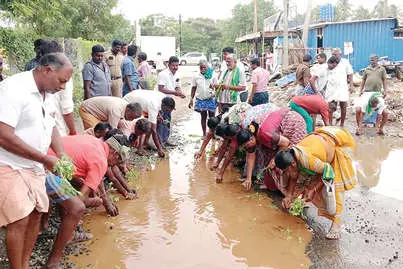 തകർന്ന പാതയിൽ ഞാറുനട്ട് പ്രതിഷേധം